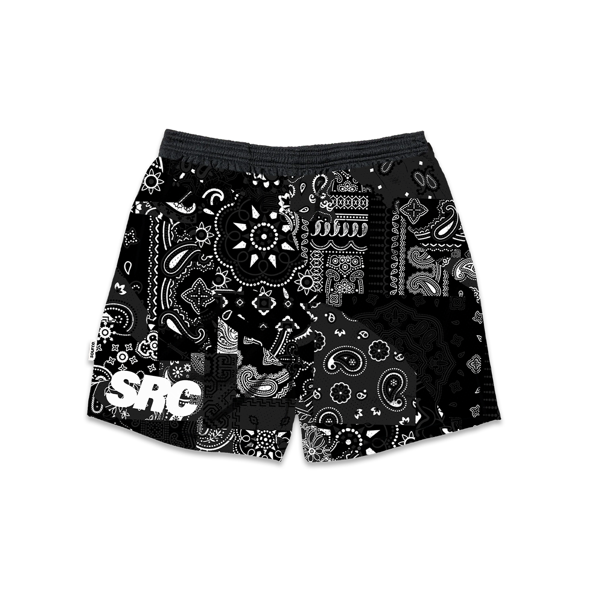 Obsidian Paisley Patches Mesh Shorts