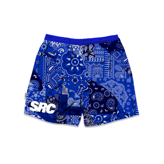 Royal Blue Paisley Patches Mesh Shorts