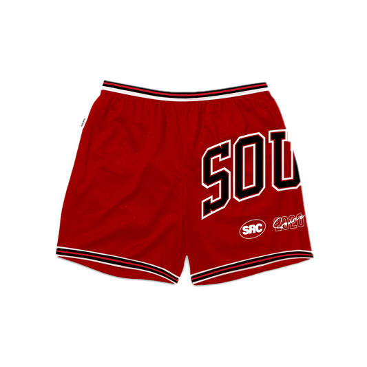 Bulls Hardwood Collection Mesh Shorts