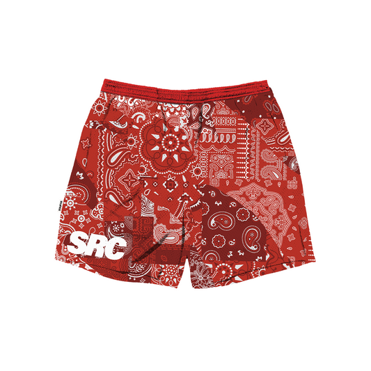 Carmine Red Paisley Patches Mesh Shorts